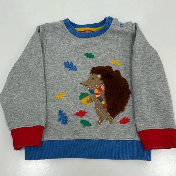 Baby Boden Other - Cute sweatshirt by Baby Boden pre owe, very good condition.